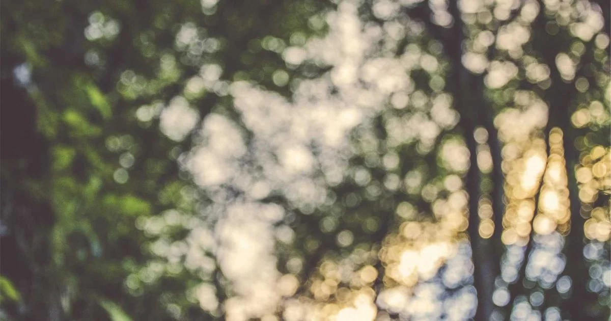 Corporate Wellness Trends That Are Reshaping the Workplace in 2026