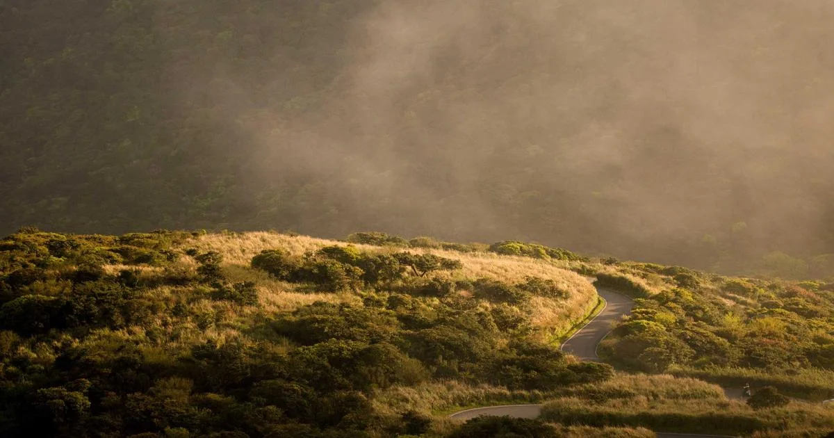Marketing Automation Best Practices: What Separates Top Performers