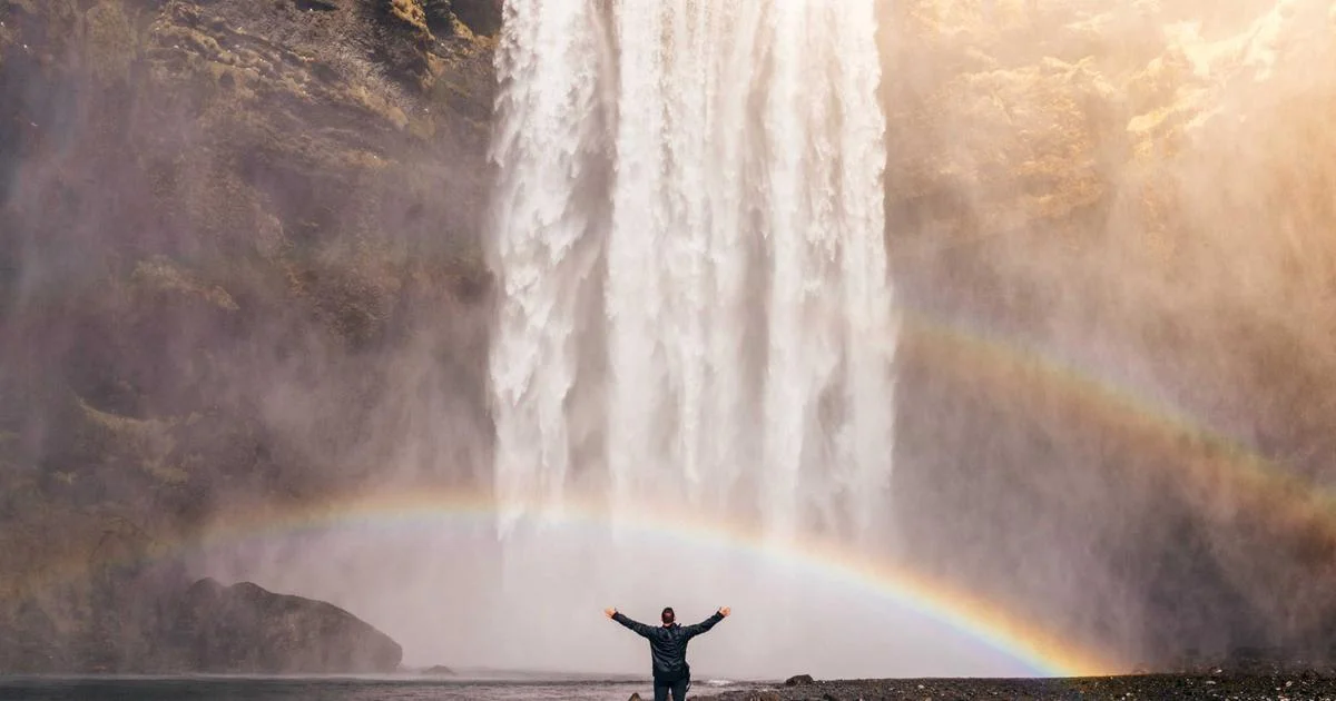 Social Media Analytics: The Metrics That Actually Predict Revenue
